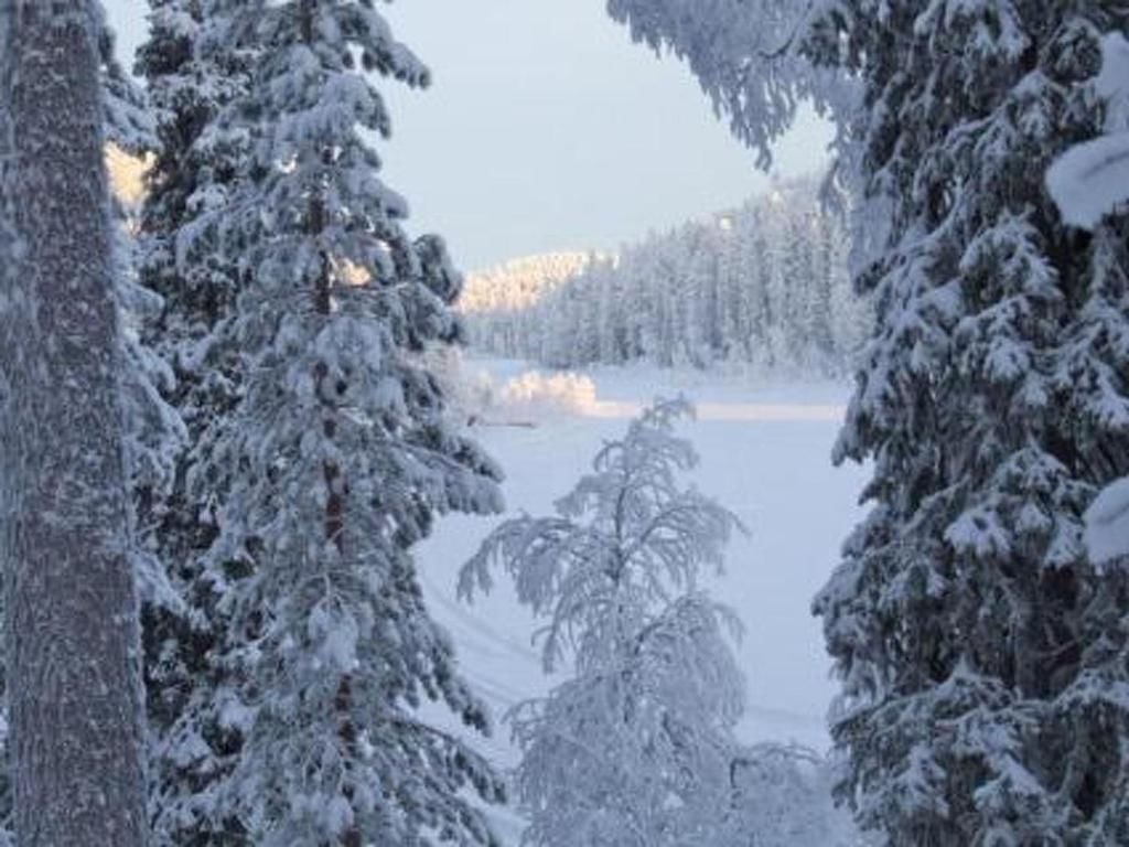 Дома для отпуска Holiday Home Rukala Рука