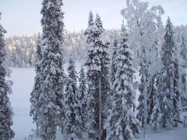 Дома для отпуска Holiday Home Rukala Рука-55